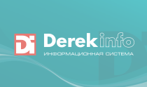 Обновление ИС «DEREK-INFO»